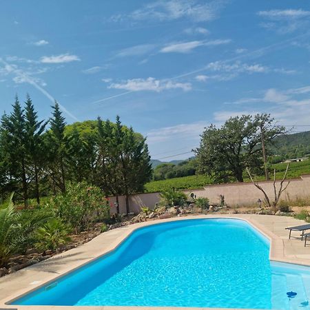 Chambre Face Aux Vignes Vidauban Zewnętrze zdjęcie