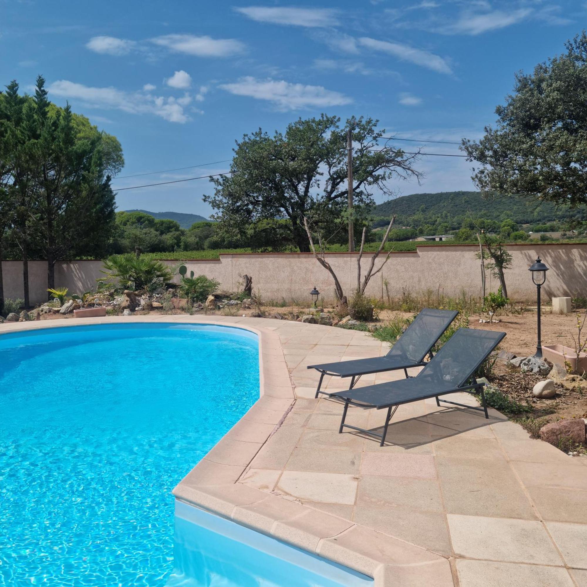 Chambre Face Aux Vignes Vidauban Zewnętrze zdjęcie