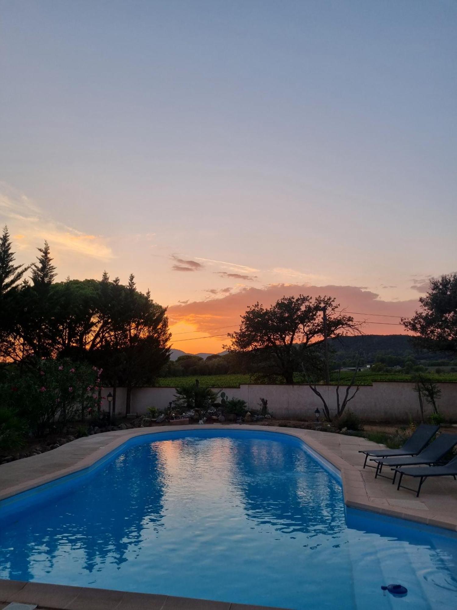 Chambre Face Aux Vignes Vidauban Zewnętrze zdjęcie