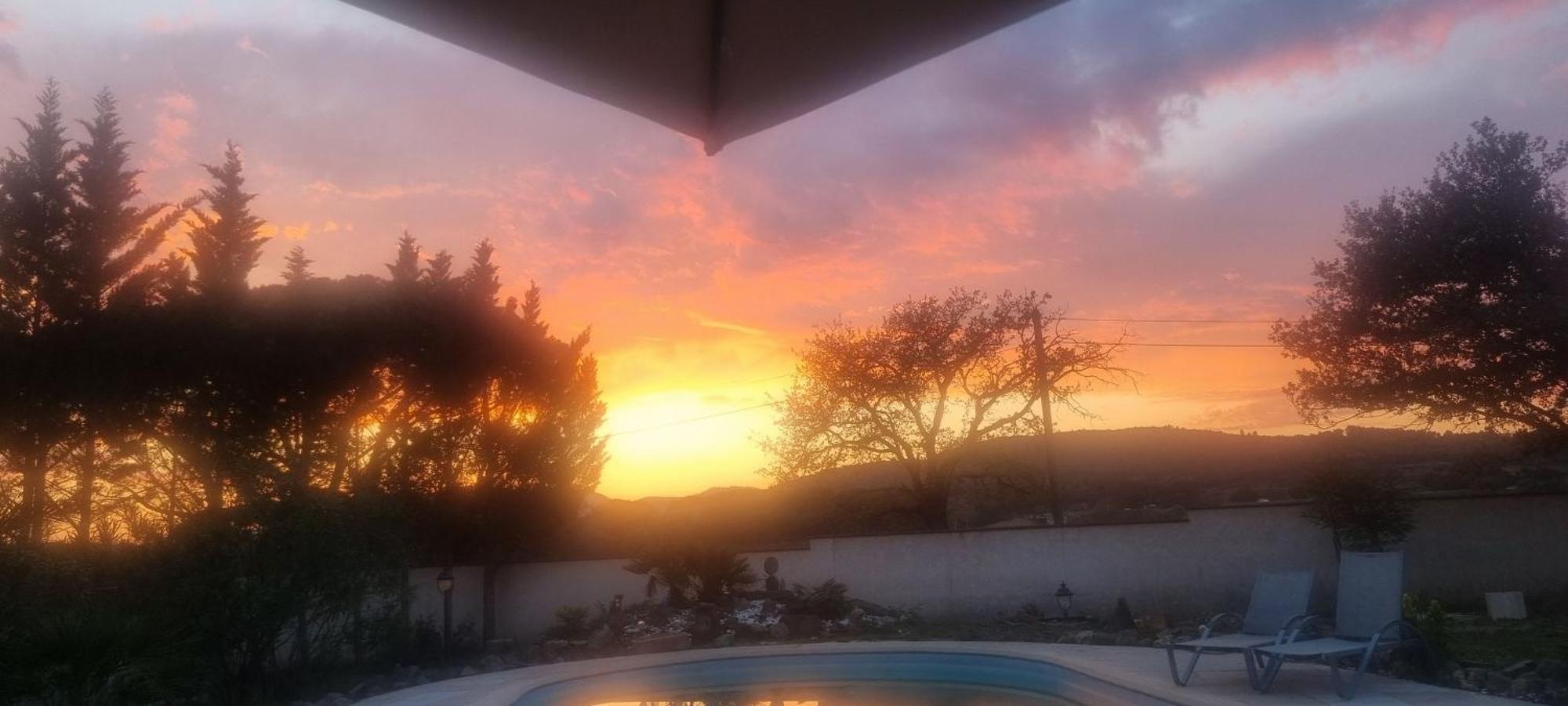 Chambre Face Aux Vignes Vidauban Zewnętrze zdjęcie